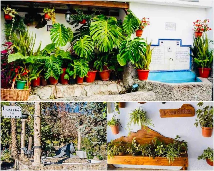 Вилла El Aguacate Ланхарон Экстерьер фото
